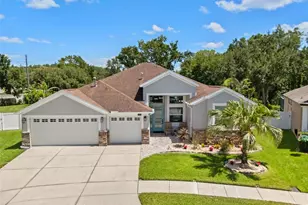 27901 Summer Pl Dr, Wesley Chapel, FL 33544 - Photo 1