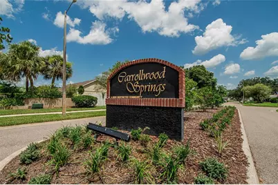 15112 Roundup Drive, Tampa, FL 33624 - Photo 46