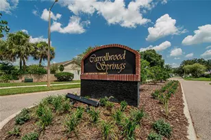 15112 Roundup Dr, Tampa, FL 33624 - Photo 46