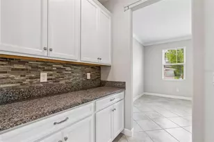 25057 Lambrusco Loop, Lutz, FL 33559 - Photo 16