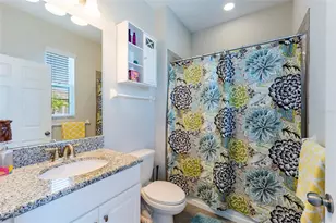 11420 Amapola Bloom Ct, Riverview, FL 33579 - Photo 24