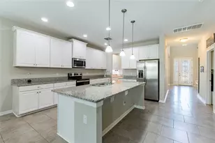 11420 Amapola Bloom Ct, Riverview, FL 33579 - Photo 10