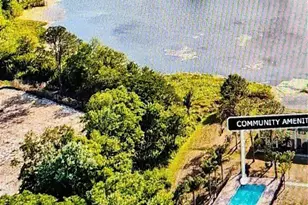 22630 Gage Loop, Land O Lakes, FL 34639 - Photo 12