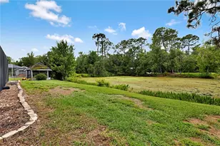 4314 Lark Dr, Dover, FL 33527 - Photo 50