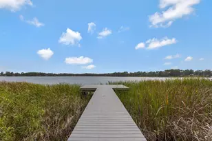 6283 Shiner St, Land O Lakes, FL 34638 - Photo 34