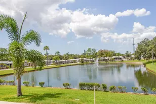 161 Hickory Gate Dr, Palm Harbor, FL 34684 - Photo 34
