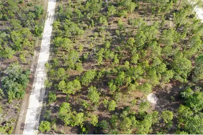 0000 NE 132 Terrace Lot 2 Terrace, Williston, FL 32696 - Photo 4