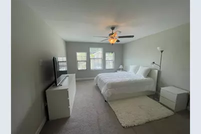 1596 Ludington Avenue, Wesley Chapel, FL 33543 - Photo 26