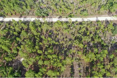 0000 NE 132 Terrace Lot 3 Terrace, Williston, FL 32696 - Photo 4