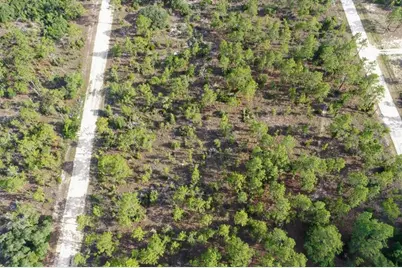0000 NE 132 Terrace Lot 3 Terrace, Williston, FL 32696 - Photo 2