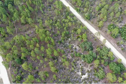 0000 NE 132 Terrace Lot 4 Terrace, Williston, FL 32696 - Photo 6