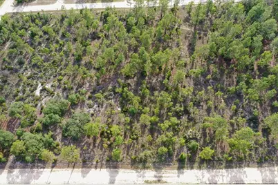 0000 NE 132 Terrace Lot 4 Terrace, Williston, FL 32696 - Photo 4