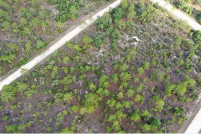0000 NE 132 Terrace Lot 4 Terrace, Williston, FL 32696 - Photo 8