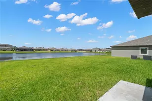 16649 Carlton Pond St, Wimauma, FL 33598 - Photo 24