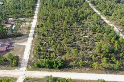 0000 NE 131 Terrace Lot 6 Terrace, Williston, FL 32696 - Photo 4