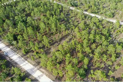 0000 NE 131 Lot 7 Terrace, Williston, FL 32696 - Photo 4