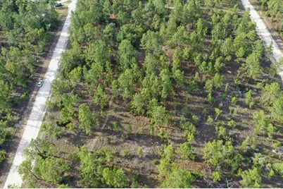 0000 NE 131 Lot 8 Terrace, Williston, FL 32696 - Photo 6