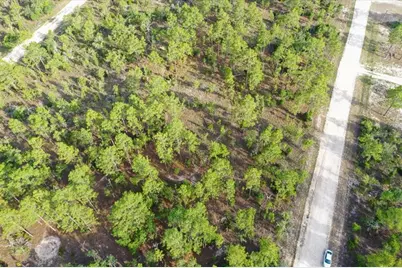 0000 NE 131 Lot 8 Terrace, Williston, FL 32696 - Photo 2