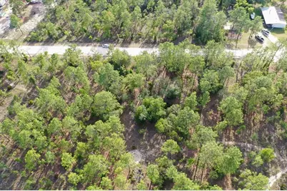 0000 NE 131 Lot 9 Terrace, Williston, FL 32696 - Photo 4