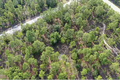 0000 NE 131 Lot 9 Terrace, Williston, FL 32696 - Photo 6