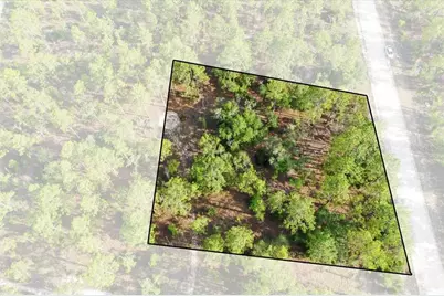 0000 NE 131 Lot 9 Terrace, Williston, FL 32696 - Photo 1