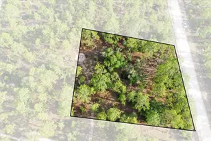 0000 NE 131 Lot 9 Terrace, Williston, FL 32696 - Photo 1