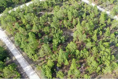 0000 NE 131 Lot 9 Terrace, Williston, FL 32696 - Photo 8