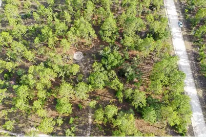 0000 NE 131 Lot 9 Terrace, Williston, FL 32696 - Photo 2