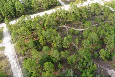 0000 NE 131 Lot 10 Terrace, Williston, FL 32696 - Photo 8