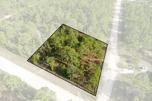0000 NE 131 Lot 10 Terrace, Williston, FL 32696 - Photo 1