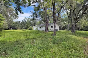 11916 Davis Rd, Tampa, FL 33637 - Photo 10