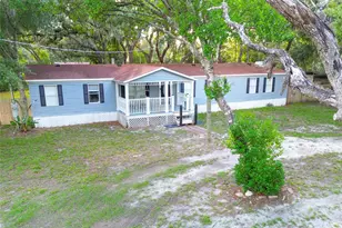 1419 Osceola Hollow Rd, Odessa, FL 33556 - Photo 1