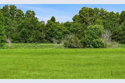 10734 Osprey Landing Way, Thonotosassa, FL 33592 - Photo 58