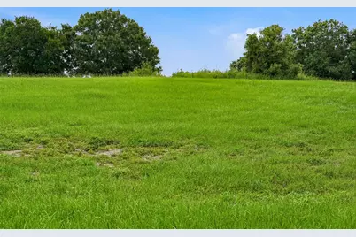 10734 Osprey Landing Way, Thonotosassa, FL 33592 - Photo 52