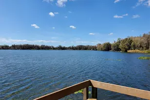 16824 Stanza Ct, Tampa, FL 33624 - Photo 48