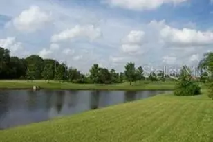 13023 Carlington Ln, Riverview, FL 33579 - Photo 4