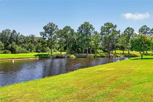 13023 Carlington Ln, Riverview, FL 33579 - Photo 62