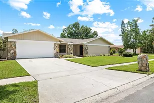 14011 Wolcott Dr, Tampa, FL 33624 - Photo 6