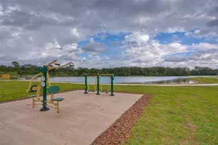 14011 Wolcott Dr, Tampa, FL 33624 - Photo 64