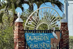 2700 Bayshore Blvd, Dunedin, FL 34698 - Photo 32