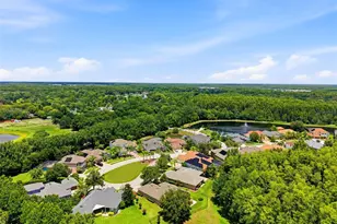 14828 Man O War Dr, Odessa, FL 33556 - Photo 54