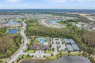 4667 San Martino Dr, Wesley Chapel, FL 33543 - Photo 68
