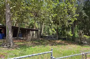 10901 McMullen Loop, Riverview, FL 33569 - Photo 28