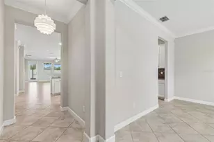 25057 Lambrusco Loop, Lutz, FL 33559 - Photo 6