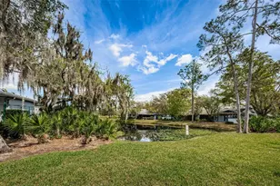 80 Summerwinds Ln, Oldsmar, FL 34677 - Photo 46
