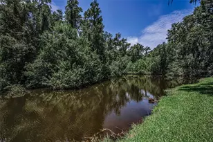 80 Summerwinds Ln, Oldsmar, FL 34677 - Photo 42