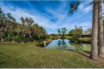 80 Summerwinds Lane, Oldsmar, FL 34677 - Photo 48