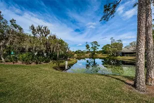 80 Summerwinds Ln, Oldsmar, FL 34677 - Photo 48
