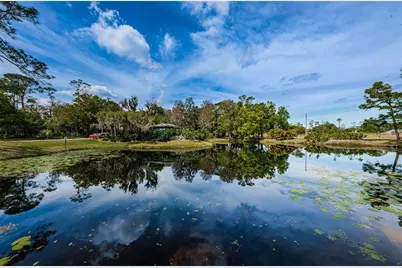 80 Summerwinds Lane, Oldsmar, FL 34677 - Photo 50