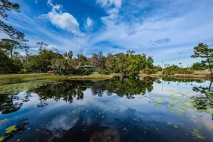 80 Summerwinds Ln, Oldsmar, FL 34677 - Photo 50